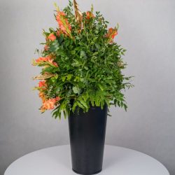 باکس گل B367 - 16
