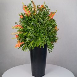 باکس گل B367 - 18