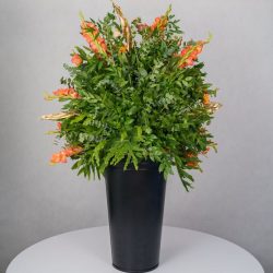 باکس گل B367 - 20