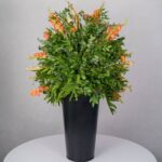 باکس گل B367 - Image 21