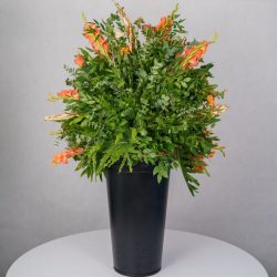 باکس گل B367 - 21