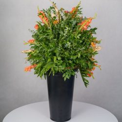 باکس گل B367 - 22