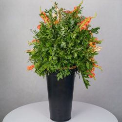 باکس گل B367 - 23