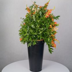 باکس گل B367 - 25