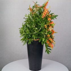 باکس گل B367 - 27
