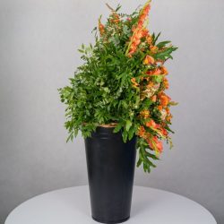 باکس گل B367 - 28