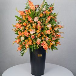 باکس گل B367 - 39