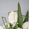 گل آنتوریوم سفید، بهترین گل برای باکس ترحیم است.