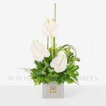 جعبه گل شماره 235 با آنتوریوم سفید جذاب و خاص است.