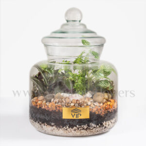 تراریوم مینیاتوری جنگل زیبا در سایز کوچک پرطرفدار است.