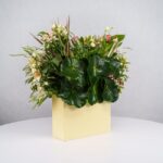 باکس گل B368 - Image 15