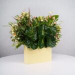 باکس گل B368 - Image 16