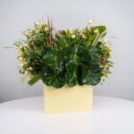 باکس گل B368 - Image 17