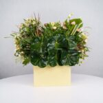 باکس گل B368 - Image 18