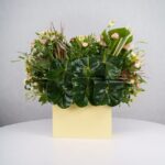 باکس گل B368 - Image 19