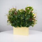 باکس گل B368 - Image 20