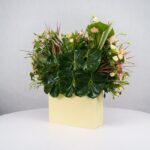 باکس گل B368 - Image 21