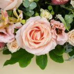 طراوت و تازگی رزها زبانزد است.