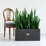 ابعاد باکس سانسوریا سبز بتونی قابل توجه و در حدود یک صندلی است.