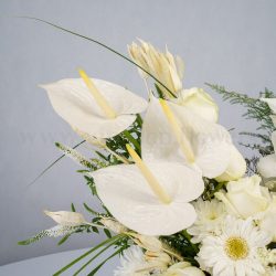 باکس گل B375 - 2