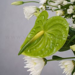 باکس گل B371 - 47