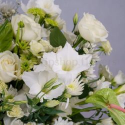 باکس گل B371 - 48