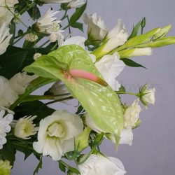 باکس گل B371 - 46
