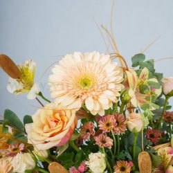 تم رنگی کرم و نارنجی ژربرا و رز بسیار متفاوت و زیباست.