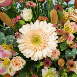 ژربرای روشن با تم رنگی کرم در این سبد گل می‌درخشد.
