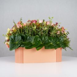 باکس گل B369 - 23