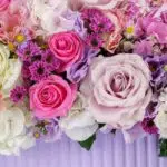 گل های باکس گل ارکیده صورتی پاستلی تازه و شاداب هستند.