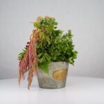 باکس گل B373 - Image 21