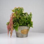 باکس گل B373 - Image 22