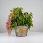 باکس گل B373 - Image 23