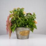 باکس گل B373 - Image 24