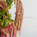 تزئینات باکس گل سطلی با تم قرمز و نارنجی خیره کننده است.