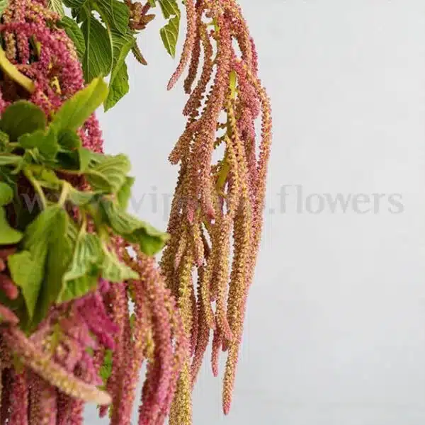 تزئینات باکس گل سطلی با تم قرمز و نارنجی خیره کننده است.