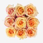 رنگ گل رز وینتیج در باکس مینیمال درخشان است.