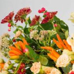 ترکیب رنگ نارنجی و قرمز میان برگ ها خاص است.