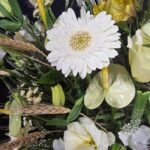 گل های باکس گل شماره ۳۷۶