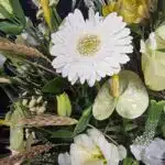 گل های باکس گل شماره ۳۷۶