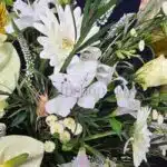 گل های باکس گل شماره ۳۷۶