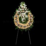 تاج گل شماره ۸۵