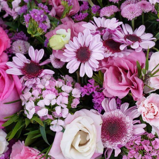 گل های باکس گل ۳۷۸