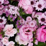 گل های باکس گل شماره ۳۷۸