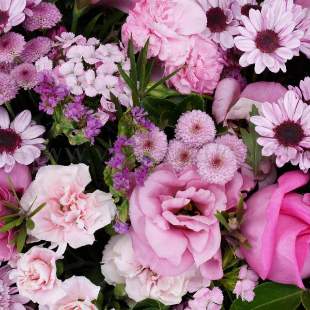 گل های باکس گل شماره ۳۷۸