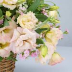 لیسیانتوس ها زیبا و لطیف هستند