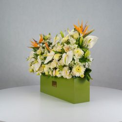 باکس گل B380 - Image 15