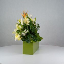 باکس گل B380 - Image 20