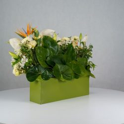 باکس گل B380 - Image 24